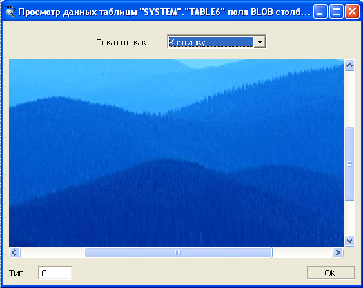 Просмотр BLOB-данных в виде рисунка
